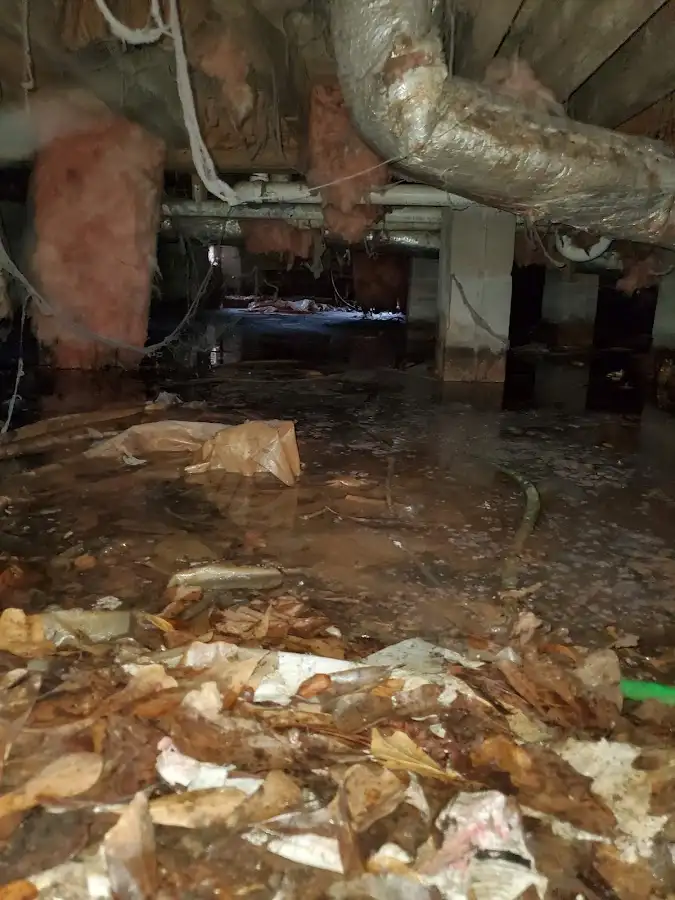 Crawl space flood assessment for Leak Detection & Repair in Diamond Springs